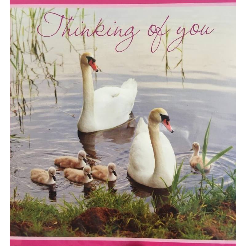 GREETING CARD - THINKING OF YOU (SWAN)