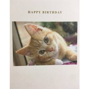 GREETING CARD - BIRTHDAY CAT